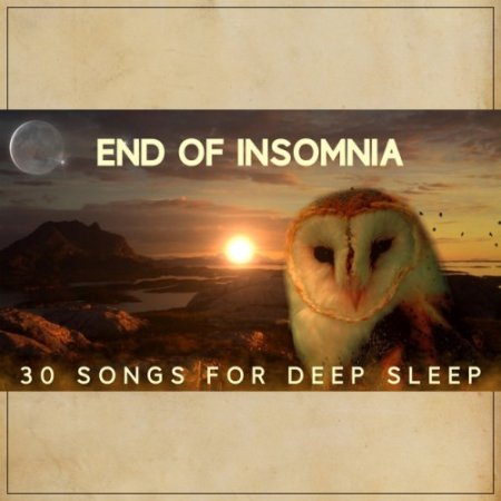VA - End of Insomnia. 30 Songs for Deep Sleep (2017)