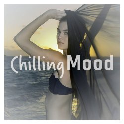 Label: Chilling Grooves 	Жанр: Downtempo / Chill