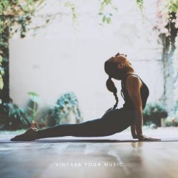 Vinyasa Yoga Music (2017)