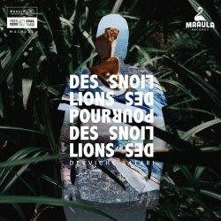 Des Lions Pour Des Lions - Derviche Safari (2018)