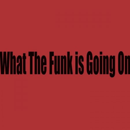 TheMAX - What The Funk Is Going On (2019) [Hi-Res]