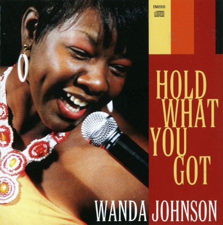 Wanda Johnson - Hold What You Go (2008)