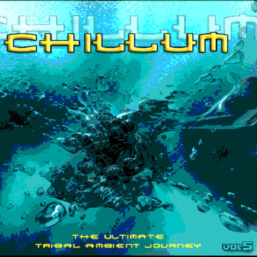 VA - Chillum Vol 5 - 2oo8