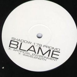 Blame - Artificial Environment / Wavelength (2006)