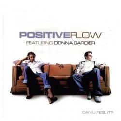Positive Flow - Can You Feel it? (2004)