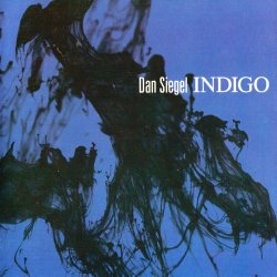 Dan Siegel - Indigo (2014)
