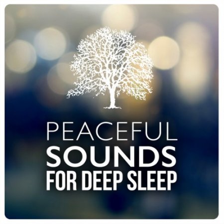 Label: Outlands Music  Жанр: Downtempo, Chillout,