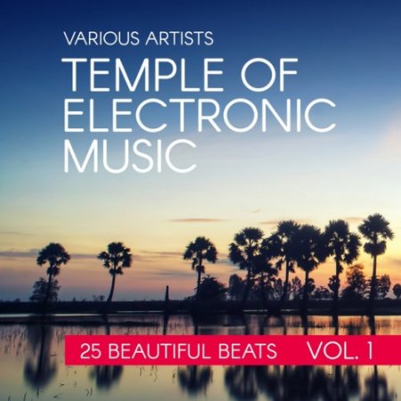 VA - Temple Of Electronic Music: 25 Beautiful Beats Vol.1 (2016)