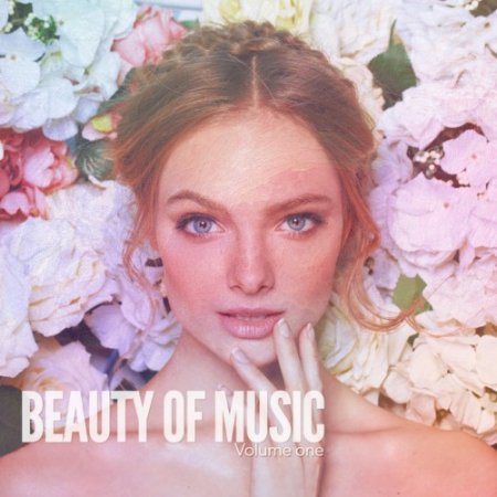 VA - Beauty of Music Vol.1: Beautiful Relax Music (2016)