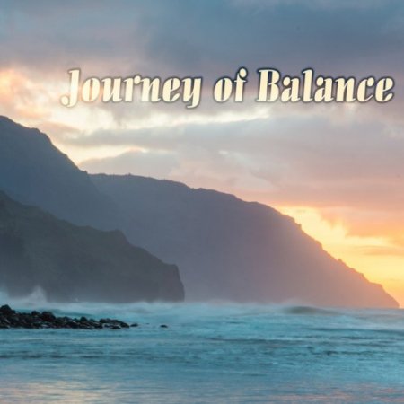 VA - Journey of Balance (2016)