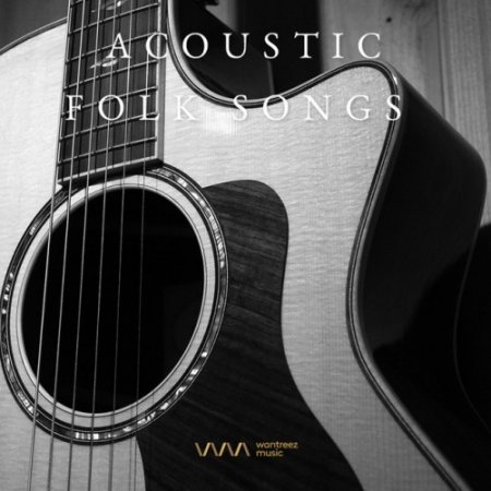 VA - Acoustic Folk Songs (2017)