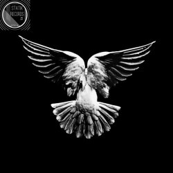 AB7VN - Paloma (2016)