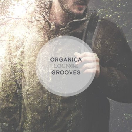 VA - Organica Lounge Grooves (2017)