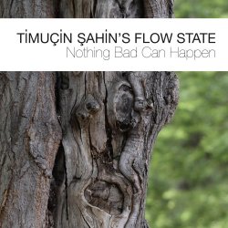 Timucin Sahin's Flow State - Nothing Bad Can Happen (2017) [Hi-Res]