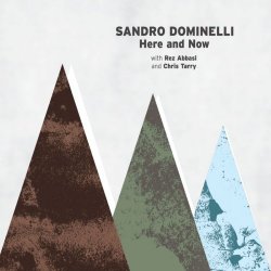 Sandro Dominelli (feat. Chris Tarry & Rez Abbasi) - Here and Now (2018)