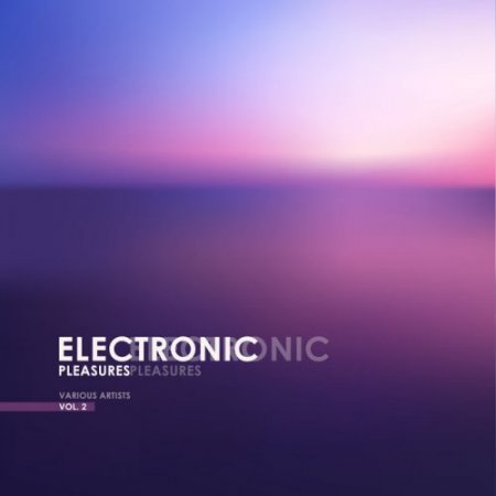 Electronic Pleasures Vol 2 (2018)