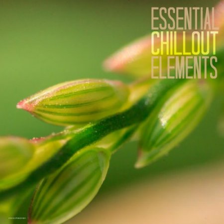 Essential Chillout Elements (2018)