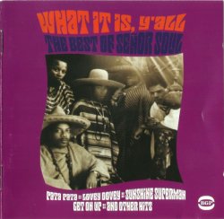 Senor Soul - What It Is Y'All: The Best Of Senor Soul (1967-70) (2003) lossless
