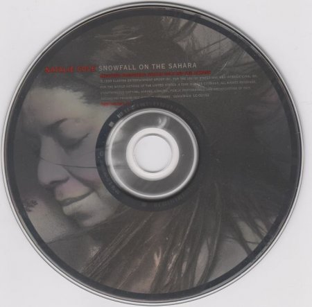 Natalie Cole - Snowfall On The Sahara (1999)
